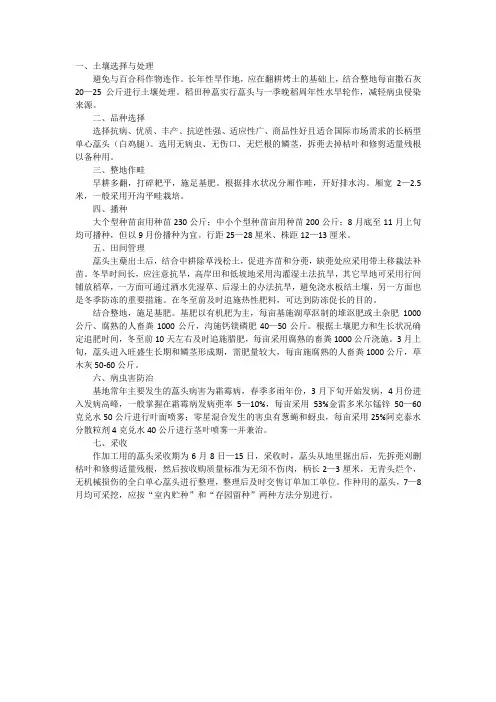 荞头高产种植技术