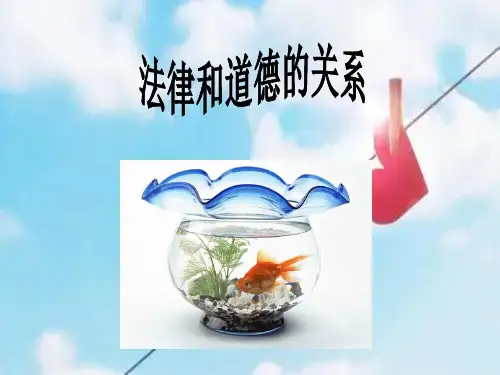 法律与道德的关系PPT精品课件