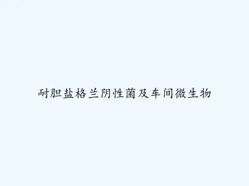 耐胆盐格兰阴性菌及车间微生物 PPT