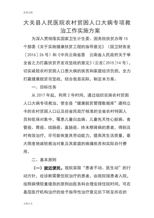 大病专项救治实施方案设计