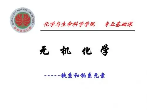 第21章 铁系和铂系OK