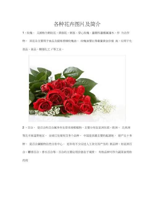各种花卉图片及简介