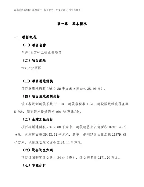 年产16万吨二硫化碳项目可行性报告