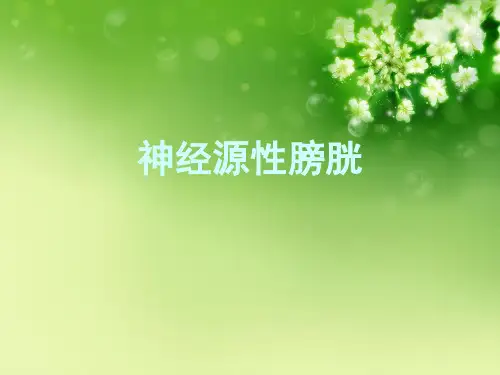 神经源性膀胱优秀课件
