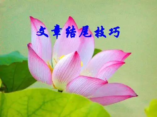 中考作文指导：文章结尾技巧优秀课件