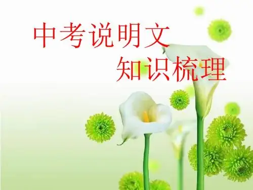 说明文1