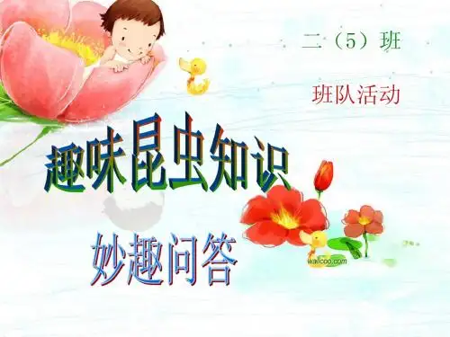 20141107班队活动(昆虫趣味问答)