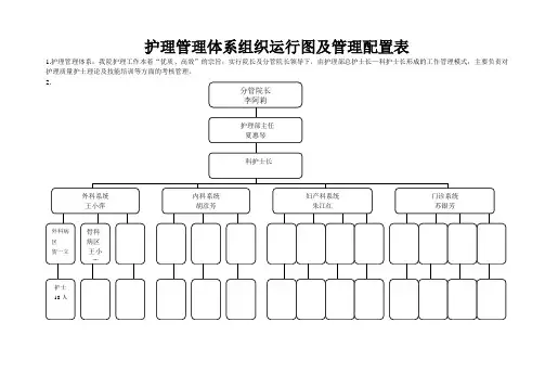护理管理体系 )