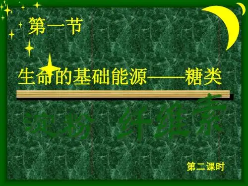 第一章生命的基础能源糖类第二课时