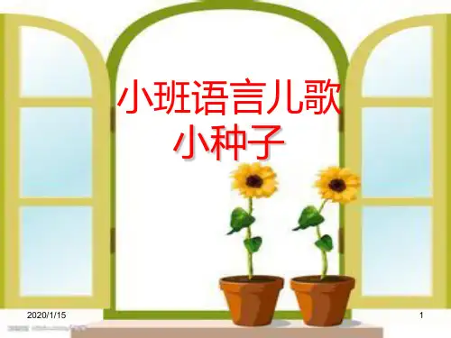小班语言儿歌:小种子PPT课件