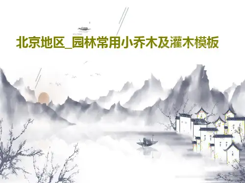北京地区_园林常用小乔木及灌木模板56页PPT