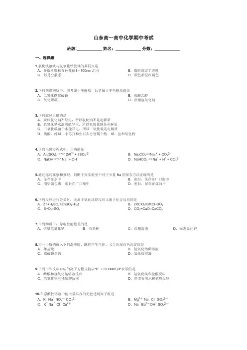 山东高一高中化学期中考试带答案解析
