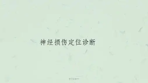 神经损伤定位诊断讲义课件