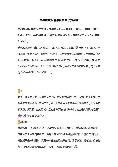 钠与硫酸铜溶液反应离子方程式