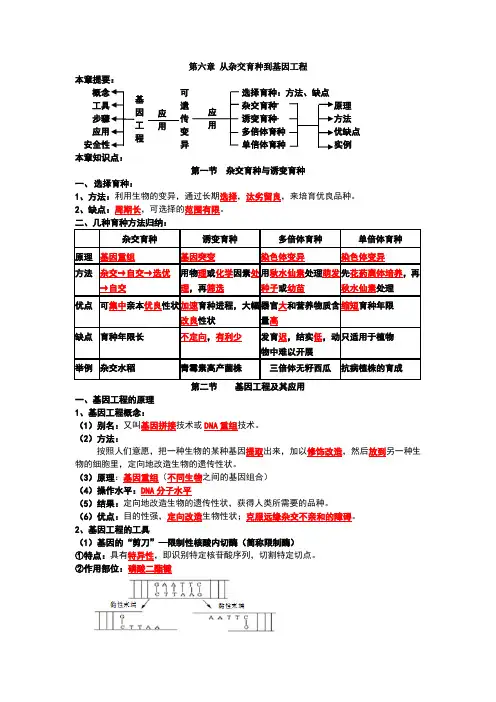 从杂交育种到基因工程知识点 2