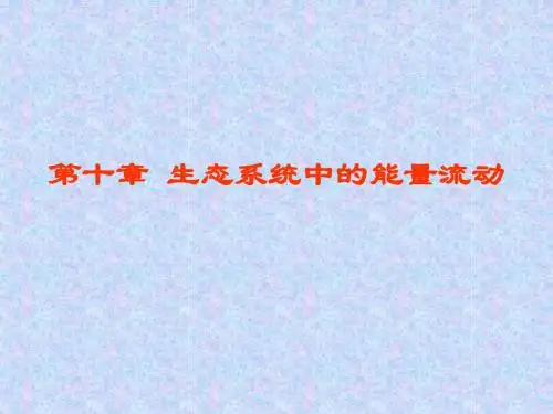 课件10：生态系统中的能量流动