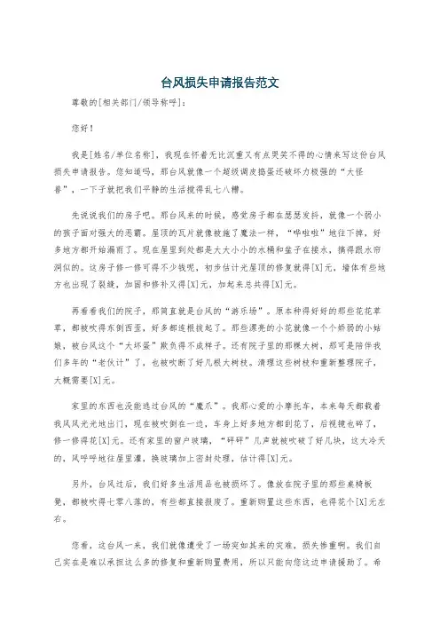 台风损失申请报告范文
