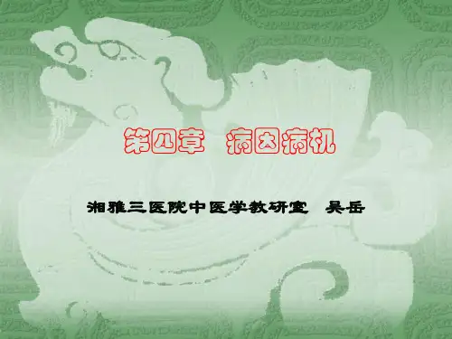 中医学 第四章病因病机