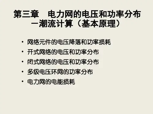 电力网的电压和功率分布资料