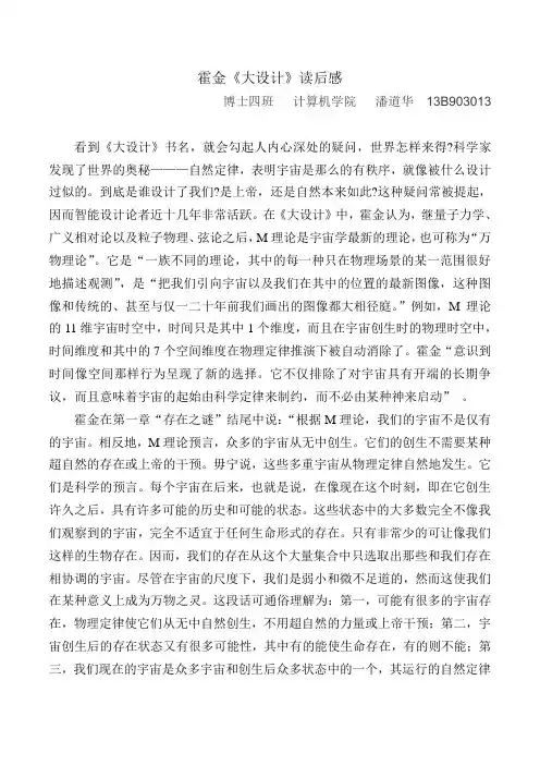 《大设计》读后感