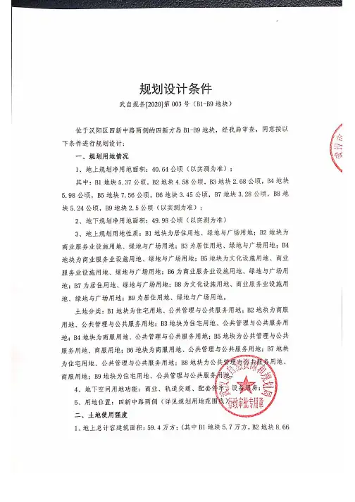 P(2020)012号四新方岛B包规划设计条件