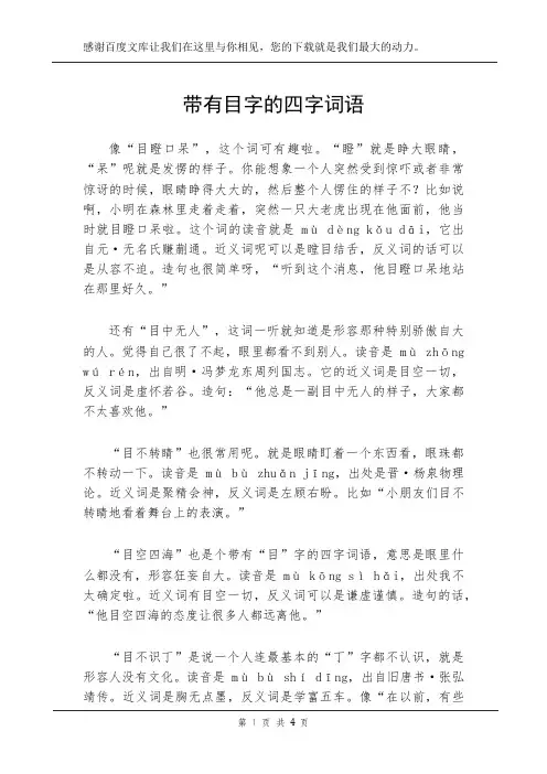 带有目字的四字词语