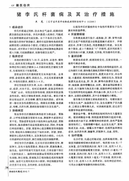 猪李氏杆菌病及其治疗措施