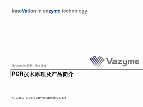 PCR常见问题及解决方案