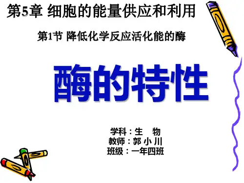 生物必修一 酶的特性
