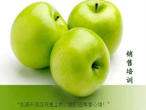 《销售业务员培训》PPT课件