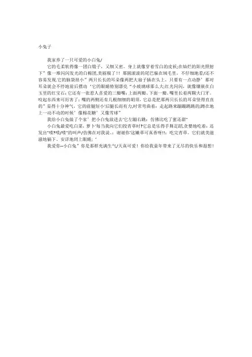 小兔子
