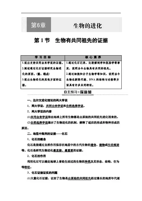 2020人教版生物必修2 第6章 第1节 生物有共同祖先的证据