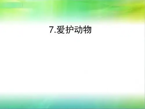 爱护动物