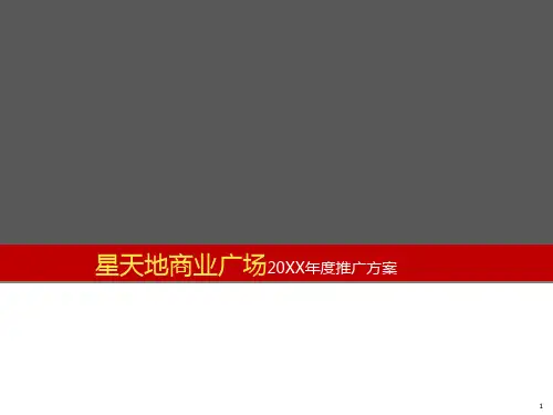 星天地商业广场年度推广方案
