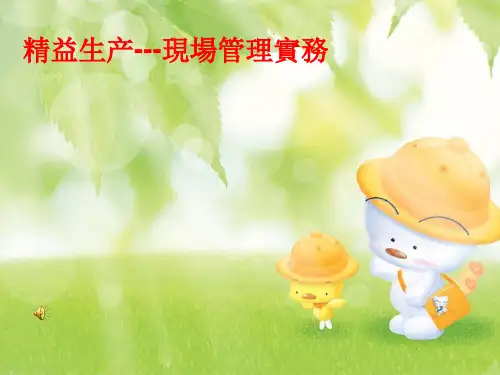 精益生产---现场管理实务