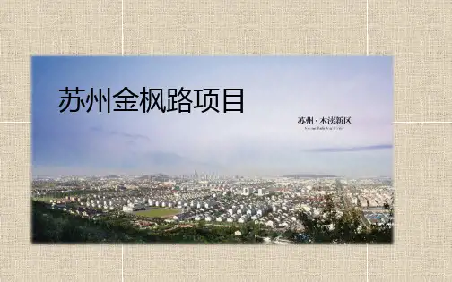 苏州金枫路商业项目定位80pPPT课件