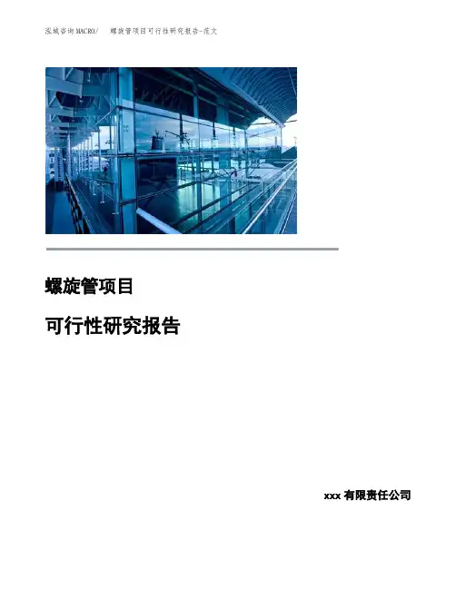 螺旋管项目可行性研究报告-范文
