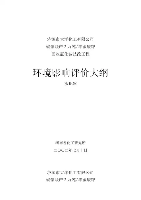 环境影响评价大纲