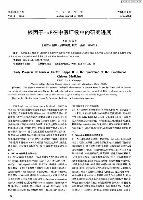 核因子-κB在中医证候中的研究进展