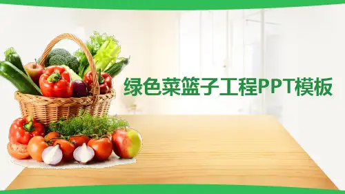 绿色菜篮子工程PPT模板