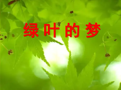《绿叶的梦》PPT课件六