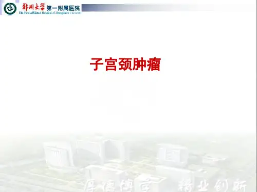 宫颈癌教学PPT
