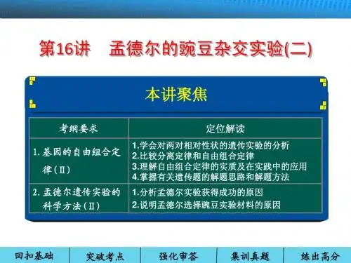 2014高考生物一轮复习第五单元 遗传的基本定律 第16讲孟德尔的豌豆杂交实验(二)