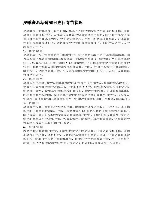 夏季高温草莓如何进行育苗管理