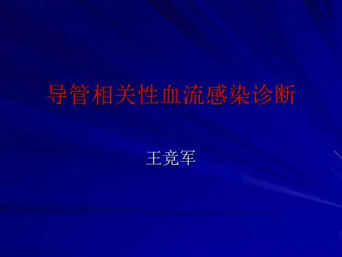 导管相关性血流感染
