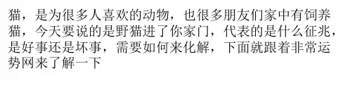 风水中猫进家门好不好