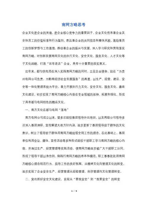 【最新】南网方略思考