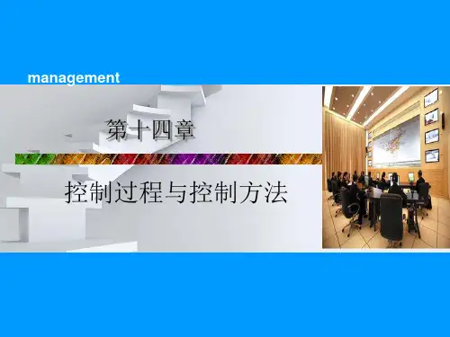 第十四章-控制过程与方法