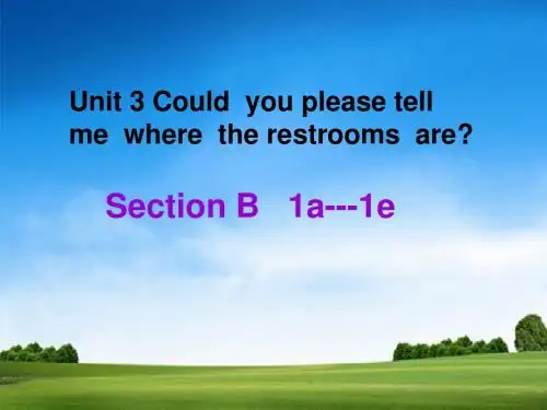 人教版九年级Uint3SectionB 1a-1e