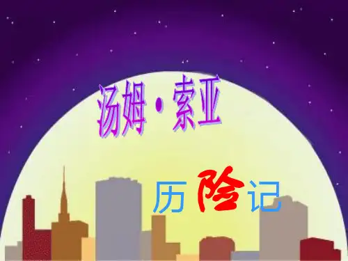 17_汤姆索亚历险记_梗概( 很好用)